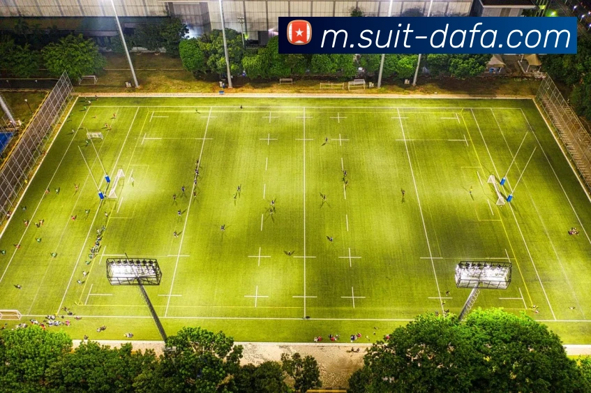 大发官网平台生态图